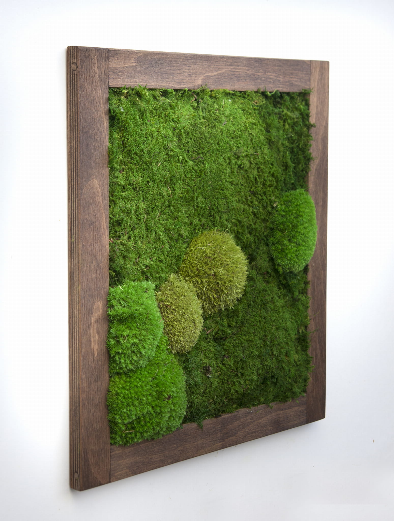 Mechový obraz typ B v dřevěném rámu 45 x 40 cm
