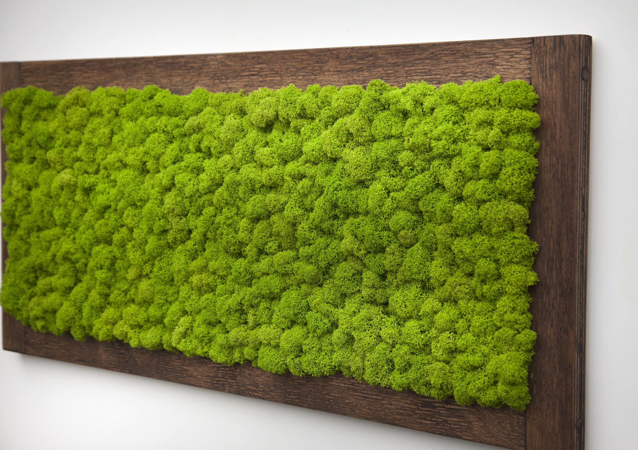 Nástěnná dekorace obraz z mechu ve dřevěném rámu 70 x 30 cm